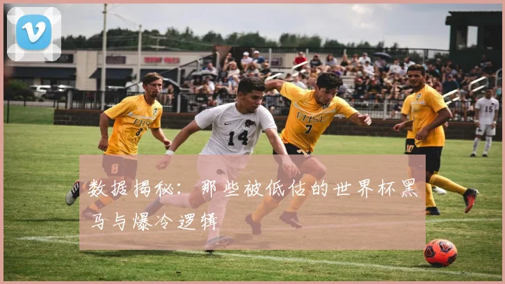 数据揭秘：那些被低估的世界杯黑马与爆冷逻辑