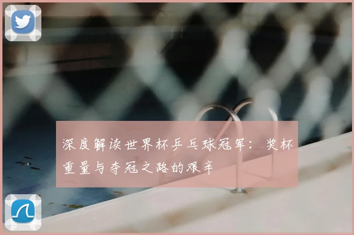深度解读世界杯乒乓球冠军：奖杯重量与夺冠之路的艰辛