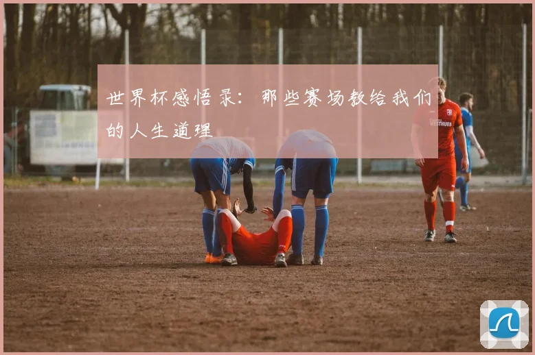 世界杯感悟录：那些赛场教给我们的人生道理