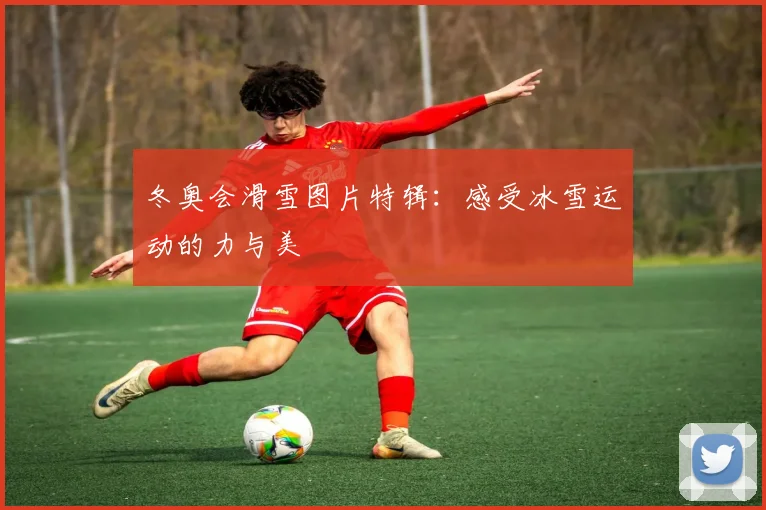 冬奥会滑雪图片特辑：感受冰雪运动的力与美